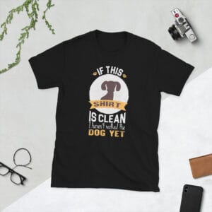 If this shirt is clean