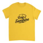 c2ef5a04-06a1-472d-8f9f-2ab98072cb40