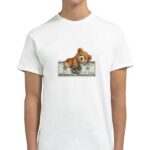 083d4d2e-c668-4ed9-8477-cf15d842a07e