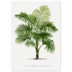 0b7deb7d-4690-41f5-954d-bd068d0880a2