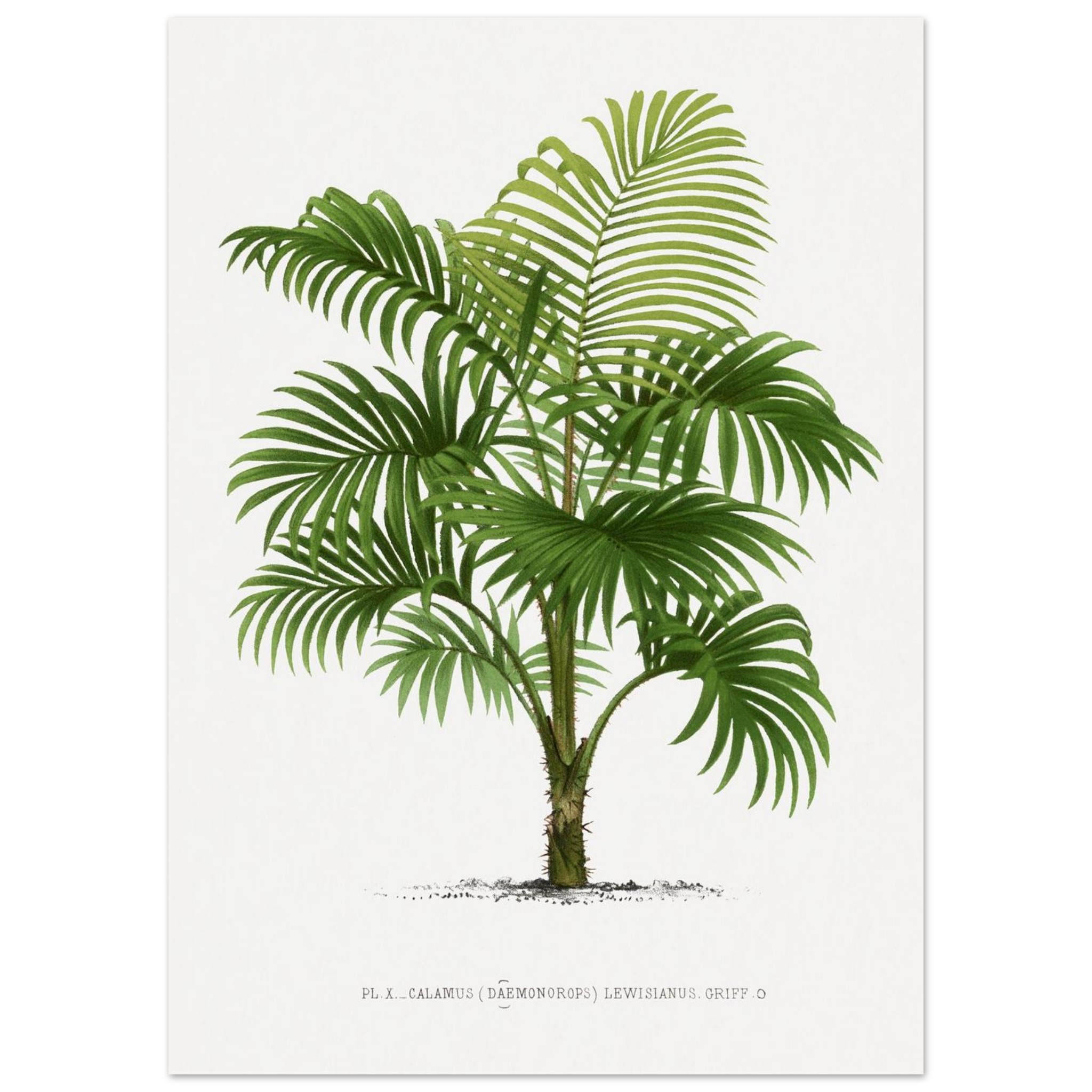 2b7cb9cf-ccb2-4395-ab6f-600f76982615