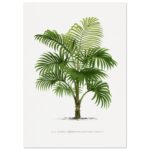 37eb674e-225f-48b5-b8d5-30d869f392d9