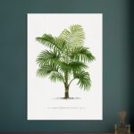 3b906b7a-fd25-4a61-873e-c7fc9a1a74b8