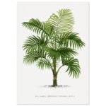 4d1ed564-593e-416f-b1b3-c7a09c5dc5ce