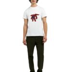 6fb3d3b2-ce8a-4505-9248-1aec521c6624