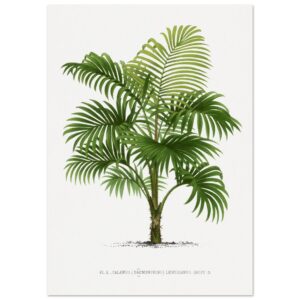 78c74147-ed43-4ff4-8e9a-8e12947dd12a