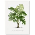 878deb74-1d8f-475c-b2dc-cca6ff5ec8f4