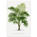 8f46601d-246d-4cc1-a1a9-21e88f196bdf