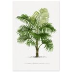 b401daf6-c541-4ce7-ba2e-69fcb9e146c4