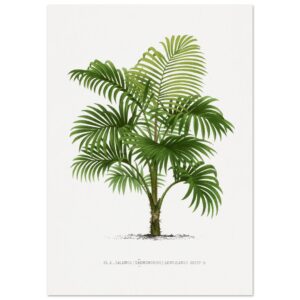 c231b725-85e9-42dd-a5c0-a31d40ffd57b