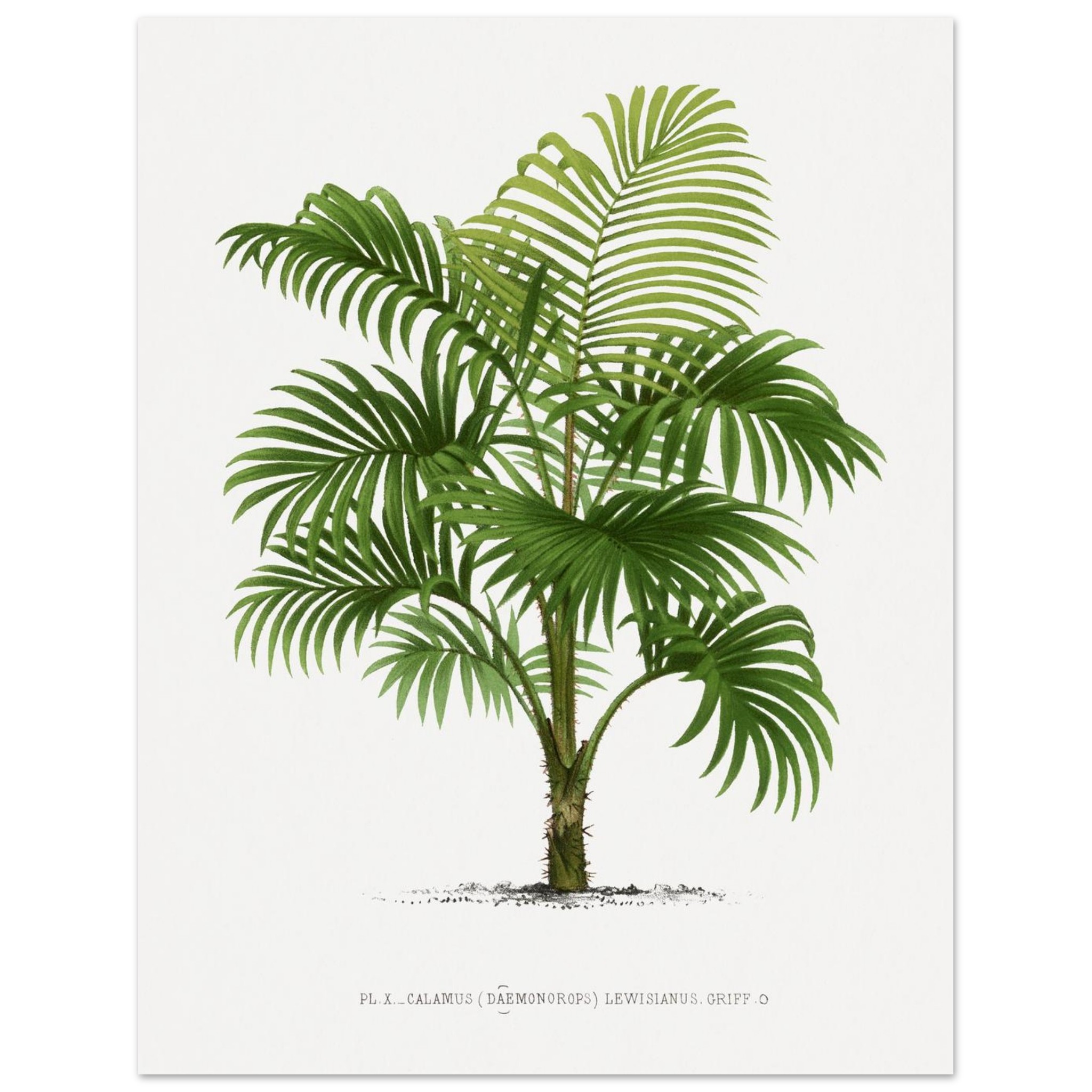 deb45e47-40e5-438f-8e8c-91408b148afe